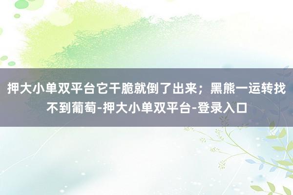 押大小單雙平臺它干脆就倒了出來；黑熊一運轉找不到葡萄-押大小單雙平臺-登錄入口